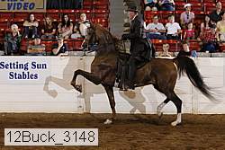 12buck_3148 proof