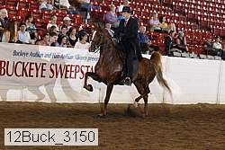 12buck_3150 proof