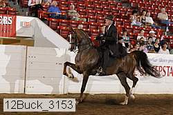 12buck_3153 proof