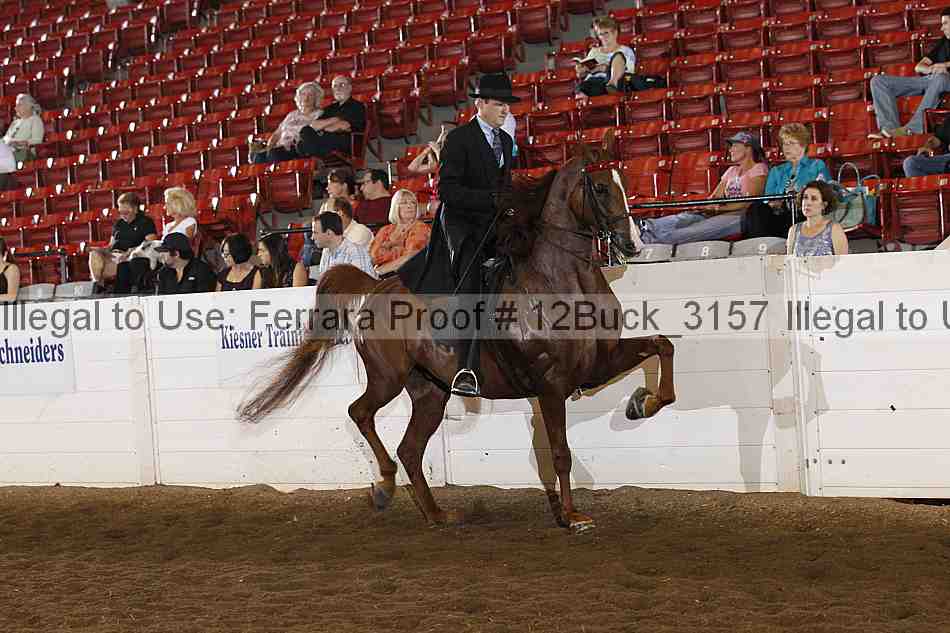 Proof 12buck_3157