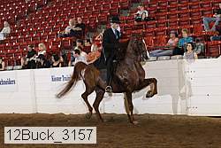 12buck_3157 proof