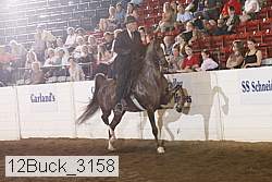 12buck_3158 proof