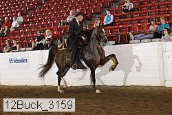 12buck_3159 proof