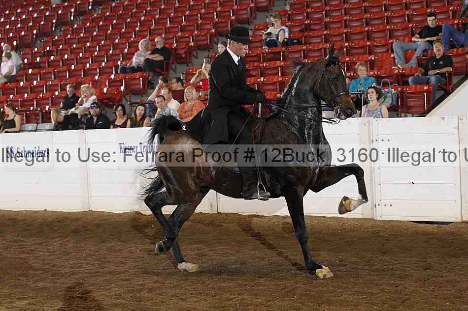 Proof 12buck_3160