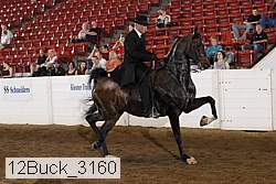 12buck_3160 proof
