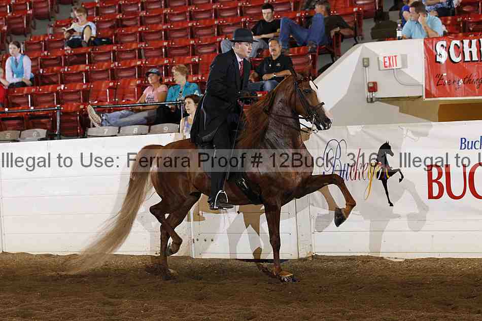 Proof 12buck_3161