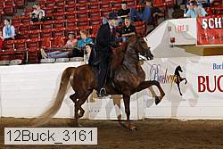 12buck_3161 proof