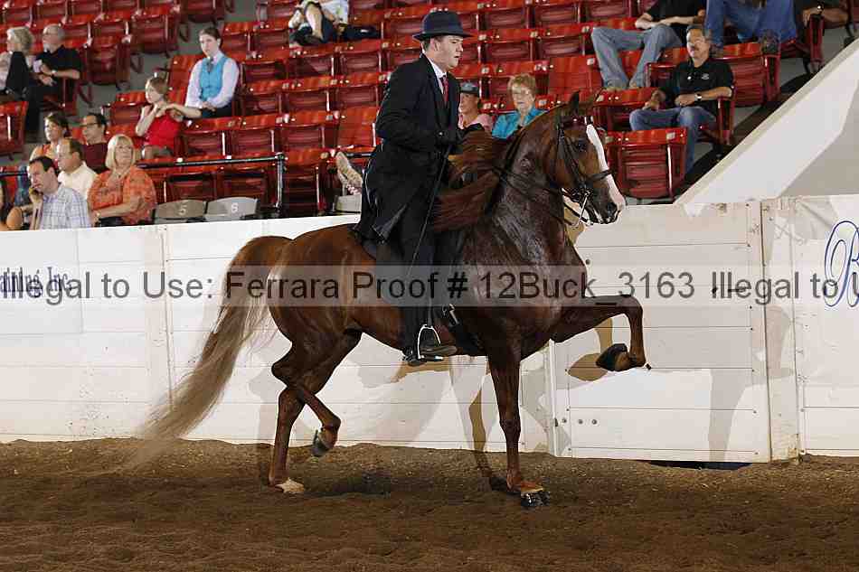 Proof 12buck_3163