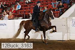 12buck_3163 proof