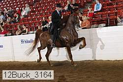 12buck_3164 proof