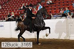 12buck_3165 proof