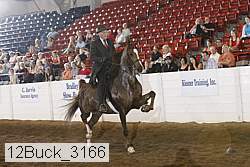 12buck_3166 proof