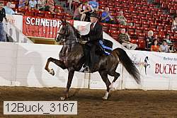 12buck_3167 proof