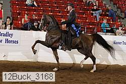 12buck_3168 proof