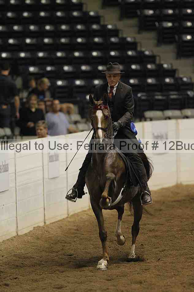 Proof 12buck_3170