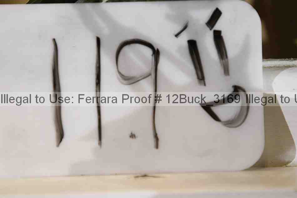 Proof 12buck_3169