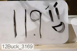 12buck_3169 proof