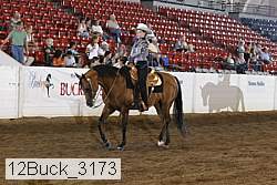 12buck_3173 proof