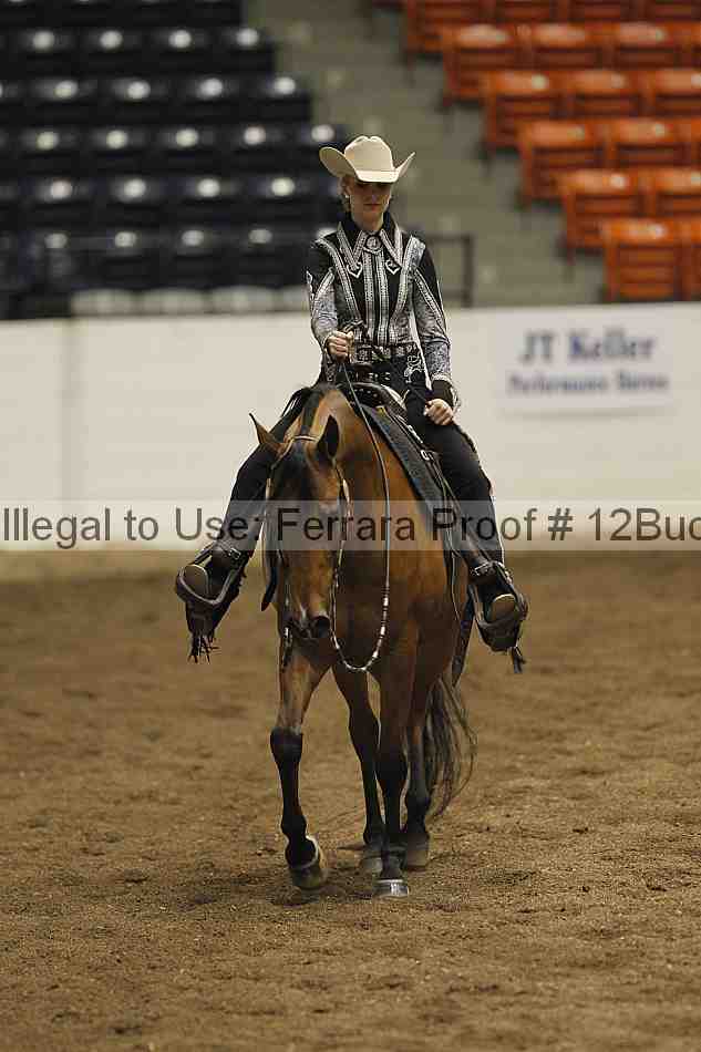 Proof 12buck_3180