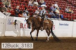 12buck_3183 proof