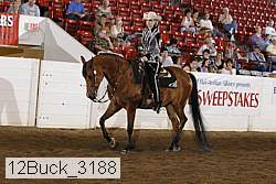 12buck_3188 proof