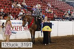12buck_3191 proof