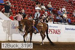 12buck_3196 proof