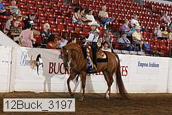 12buck_3197 proof