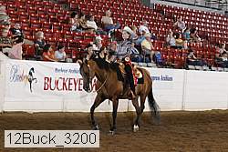 12buck_3200 proof