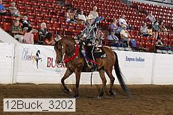 12buck_3202 proof