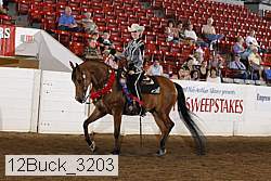 12buck_3203 proof