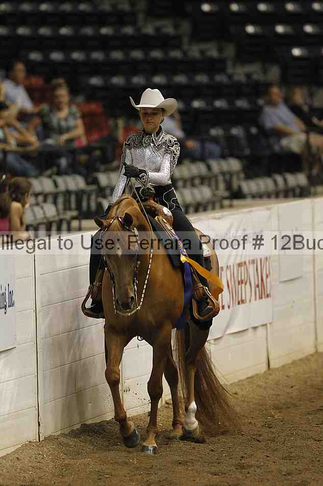 Proof 12buck_3206