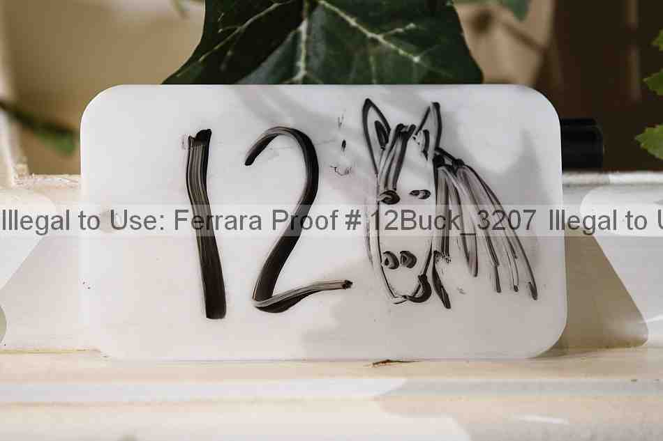 Proof 12buck_3207