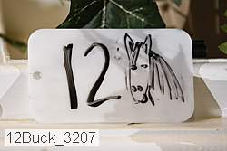 12buck_3207 proof