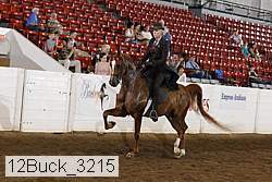 12buck_3215 proof