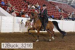 12buck_3216 proof