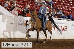 12buck_3217 proof