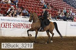 12buck_3219 proof