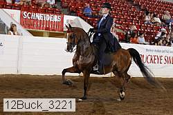 12buck_3221 proof