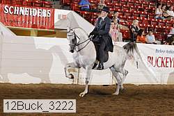 12buck_3222 proof