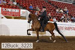 12buck_3223 proof