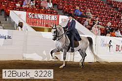 12buck_3228 proof