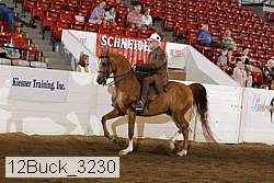 12buck_3230 proof