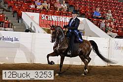 12buck_3253 proof