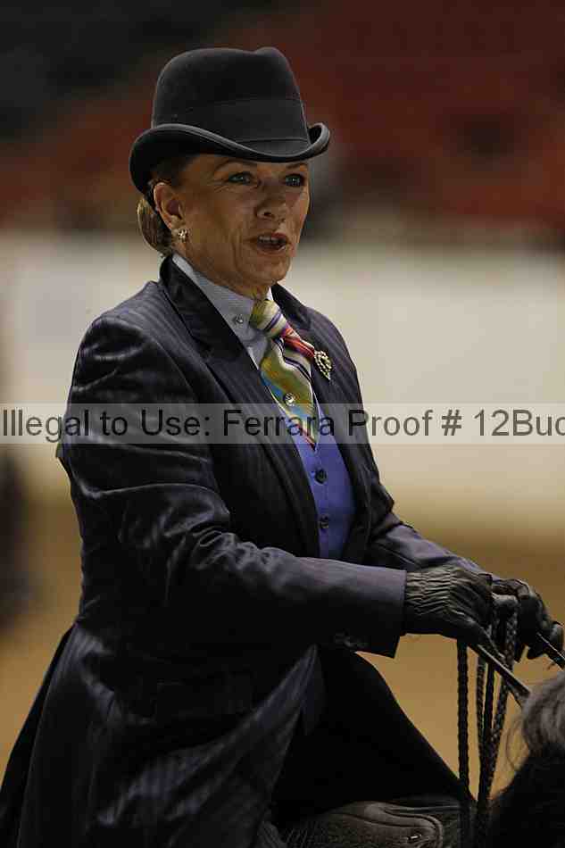 Proof 12buck_3257