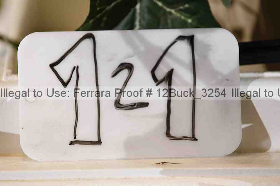 Proof 12buck_3254
