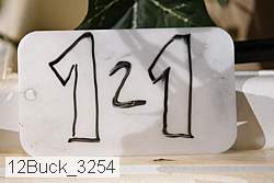 12buck_3254 proof