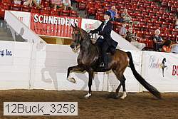 12buck_3258 proof