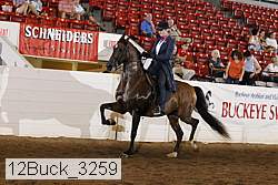 12buck_3259 proof