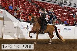 12buck_3260 proof